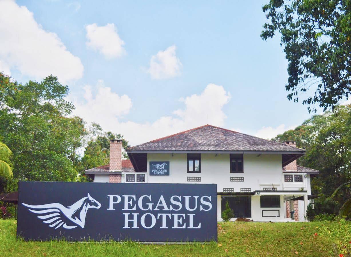 Oyo 104 Pegasus Hotel Сингапур Экстерьер фото